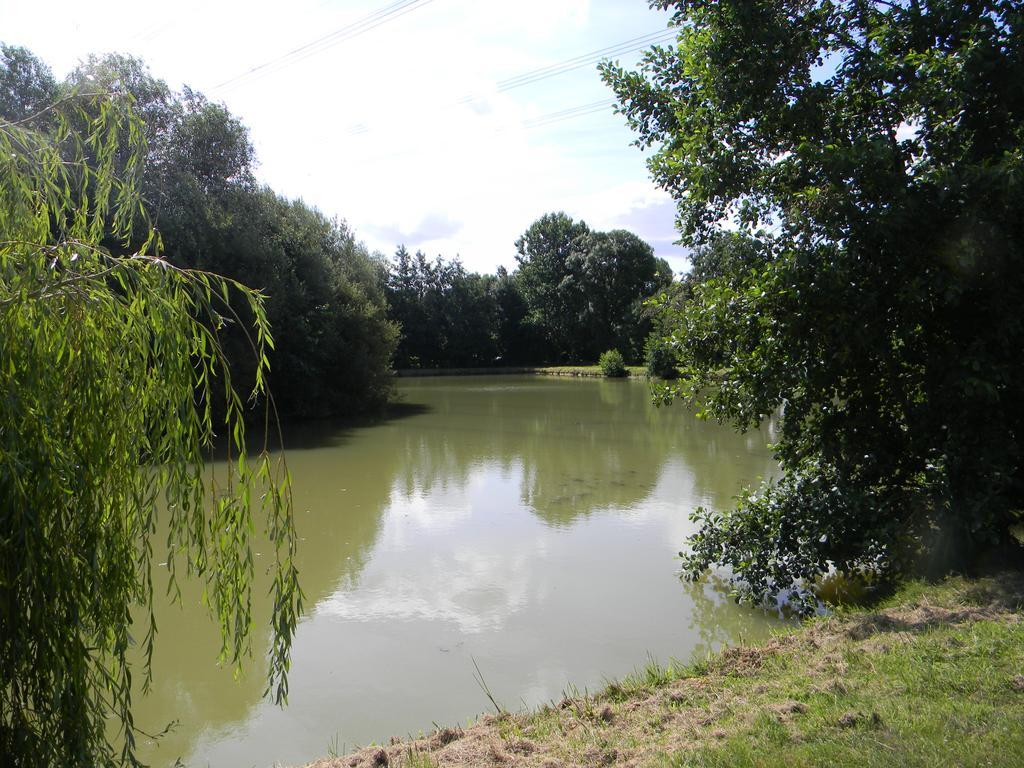 Domaine Des Mille Oiseaux Villa Villiers-Charlemagne Esterno foto